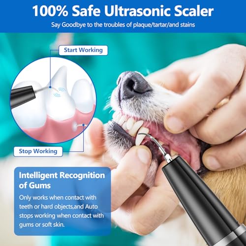 Image of Ni-SHEN Dog Plaque Remover for Teeth,Pet Ultrasonic Tooth Cleaner,Teeth Cleaning Kit -Tartar Remover for Teeth Stains for Dogs and Cats (Black)