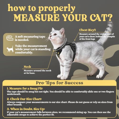 Image of rabbitgoo Cat Harness and Leash Set, Escape Proof Vest, Lunar Prowl | Soft Breathable Mesh, Easy Adjustable Fit, Snap Buckles, Sturdy Clip, Reflective Strips, for Medium to Large Cats Walks, M