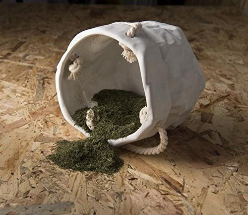 Eneldo en hoja a granel - 250