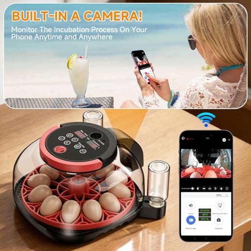 https://m.media-amazon.com/images/I/51dTNqXWZPL.jpg