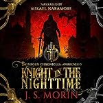Cover of Knight in the Nighttime