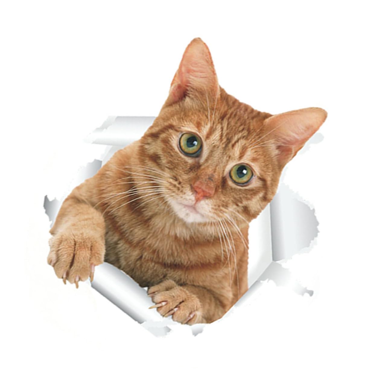 HEMOTON Adesivo Bagno Gatto 3d in Pvc e Riutilizzabile, Decorazione Murale per Porta e Pareti del Bagno, per Decorazione Casa Originale e Creativa