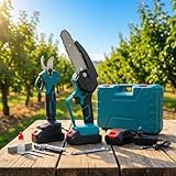 081 Store B0DLPHDYFX lato 4