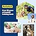 PetSafe Spray Refill - Citronella - No-Mess Replacement Cartridges Spray Dog Bark Collar Remote Training Collar - Refill Cartridge Only - 3-Pack - PAC00-16371