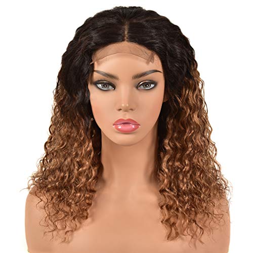 0mbre Curly Human Hair wig 4x4 Lace Closure Wig Brown Ombre Water Wave Bob Closure Wig Pre Plucked Middle Part 1b/30 Wigs for Black Women 12 Inches Colorful Bird