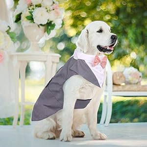 ROZKITCH Dog Costume, Dog Tuxedo Costume with Collar Bandana Bow Tie Set for Wedding, Pet Tuxedo Suit for Large Dog, Formal Party Shirt Halloween Birthday Cosplay Elegant Dog Apparel Gray ROZKITCH Dog Costume, Dog Tuxedo Costume with Collar Bandana Bow Tie Set for Wedding, Pet Tuxedo Suit for Large Dog, Formal Party Shirt Halloween Birthday Cosplay Elegant Dog Apparel Gray