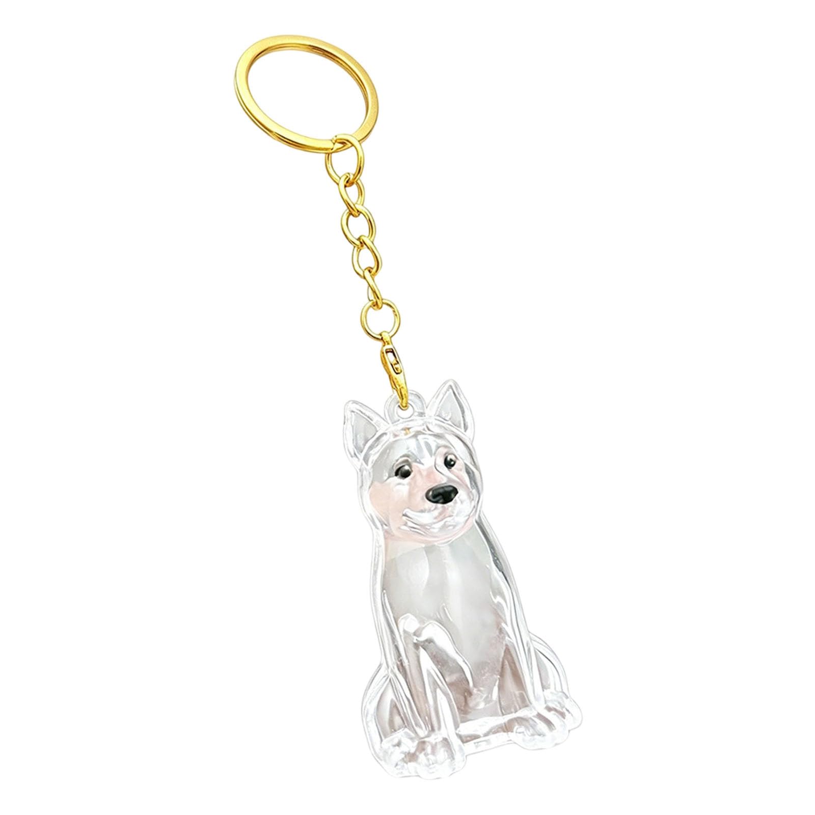 Memorial Dog Keyring, Dog Fur Keepsake, Transparent Cute Dog Hair Keepsakes, Abs Material Pet Hair Keyrings for Pet Owners, Dogs Lovers to Preserve Cherished Memories (C)