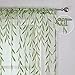 BROSHAN Green Leaf Pattern Sheer Voile Window Curtains for Kids Bedroom Living Room Cute Nursery Curtain Sheers 2 Panels, 78 inches Long, Pretty Vine Design