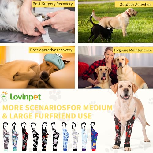 Image of LovinPet Dog Elbow Protector Anti-Licking Elbow Sleeve, Adjustable, Comfortable & Durable Front Leg Guard for Medium to Large Dogs, Prevents Licking and Chewing,Dog Sleeve,Dog Leg Sleeve,Red