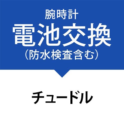 drT[rX(hApbLAxg܂ށjm`[hnTUDOR