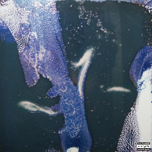 Gift Cards for Everyone [Explicit]
