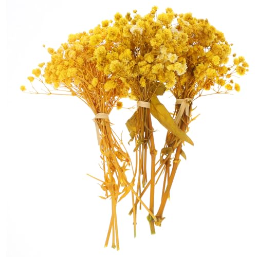 Ramo de flores secas Gypsophila amarillo VICASKY 3 piezas miniatura 1