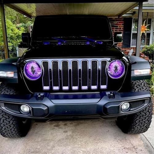 Image of Beast Eyes Headlight Decals - Pair of Round 3D Stereo Eyes Headlight Decal Stickers for Jeep, Truck & Car Body Window Bumper Decoration (#06)