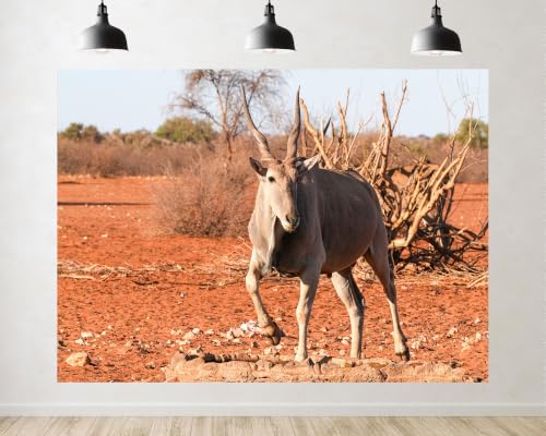 Trykid 8x6ft Desert Eland Antelope Backdrop Dry Red Soil Thorny Bush Pale Clear Sky Photography Background African Wildlife Creator Party Decoration Tapestry Photo Booth Prop Fabric