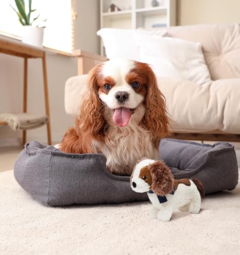 Fuzzl Charlie der King Charles Spaniel Plüschhund und Welpenspielzeug - Interaktives Hundespielzeug mit Quietscher und strapazierfähigen Nähten für kleine und große Hunde Quietschendes Hundespielzeug