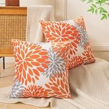 Miuyunya Lot de 2 Housses de Coussin Canapé Terracotta 40x40 Orange Housse Coussin Velours Décoratif Moderne Aesthetic Taie d'oreiller Decoration pour Chambre Sofa Salon Lit Ferme Chaise Maison