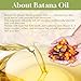 Batana Oil for Hair Growth Organics Pure Batana Hair Oil 100% Natural Batana Oil Nourishes Damaged Hair Natural Hair Growth Oil and Conditioner Batana Hair Oil 2.02 Fl Oz