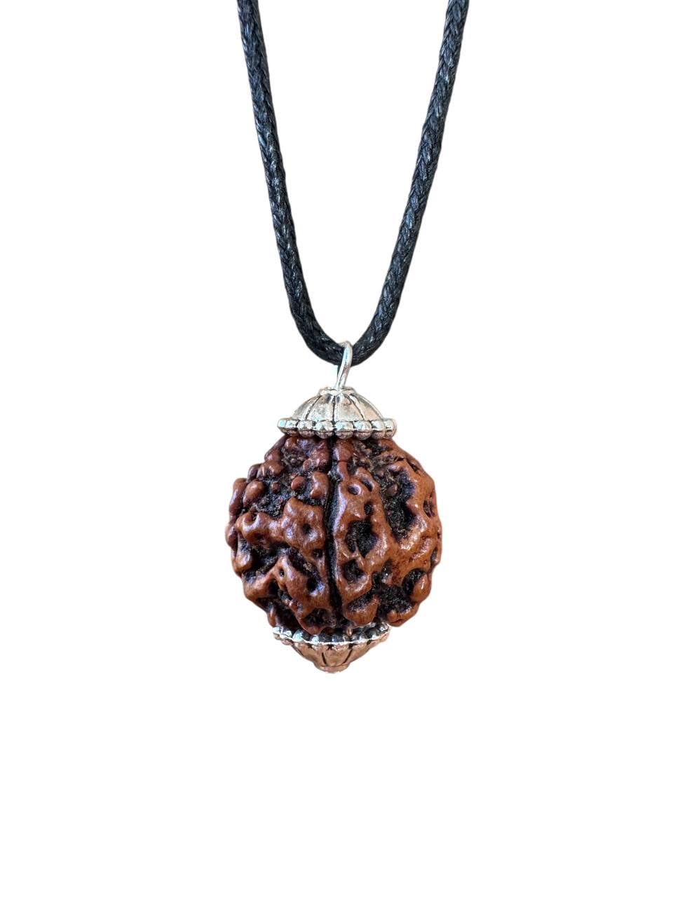 Rudraksha Pendant real 5 Mukhi Big Mala Prayer Bead HANDMADE, Shiva Necklace Jewelry, Rudraksh with Silver on Cotton Cord