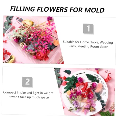 Flores secas para manualidades ORFOFE paquete variado miniatura 7