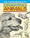 The Fundamentals of Drawing Animals: A Step-by-Step Guide to Creating Eye-Catching Artwork