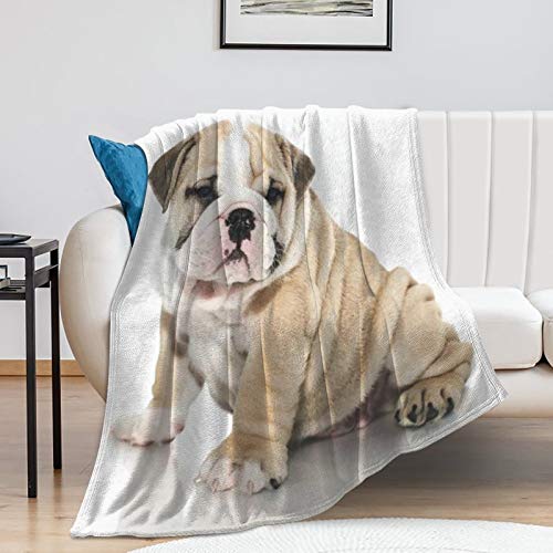 Fleece Flannel Throw Blanket Comfy Air-Conditioned Quilts Natural Material Yoga Blanket Bulldog Puppy Baby Pattern Bed Throws For Women Men, 30 X 40 Inches #TOP6