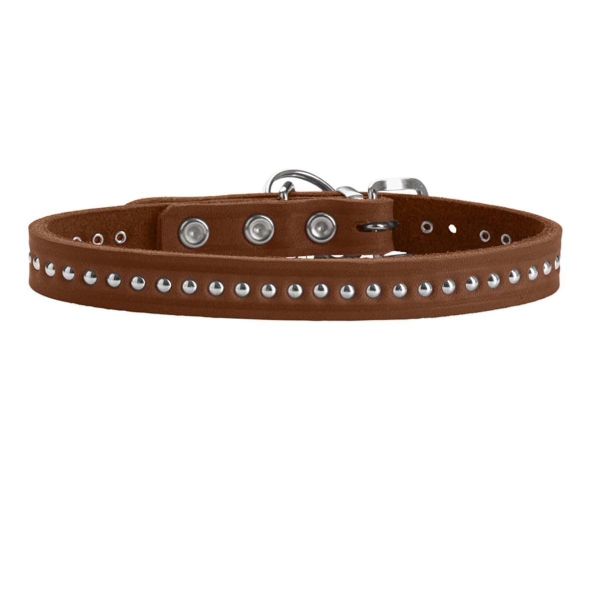 HUNTER Aalborg Style Dog Collar, Colour: Cognac, Greased Full Cowhide Leather, Robust, Comfortable, Stylish Studded Trim - Image 2
