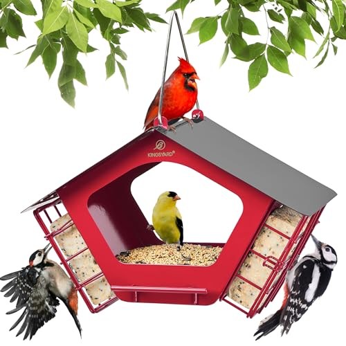 Kingsyard Metal Bird Feeders for Outdoor Hanging, 2 in 1 Mixed Seeds Feeder with Double Suet Cages,Weatherproof Metal Roof & Perch, Great for Finch Cardinal Chickadee, Easy to Clean & Refill, Red