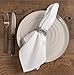Chateau Easy-Care Cloth Dinner Napkins - Set of 12 Oversized (20 x 20 inches) (White)