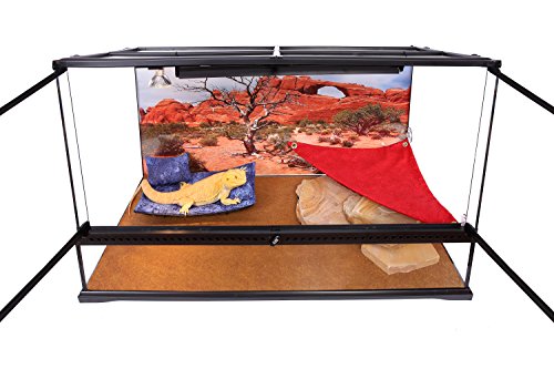 Carolina Custom Cages Reptile Habitat Background, Arch With Tree, 15.75" X 36" #TOP4