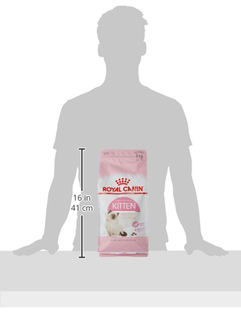 Royal Canin Kitten Complete Dry Cat Food 2kg : Amazon.co.za: Pet
