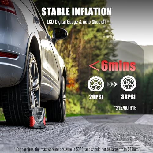 AVID POWER AC/DC Tire Inflator