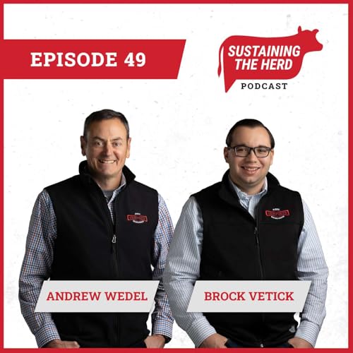 Anaerobic Digestion: Considerations for Developing Successful Projects