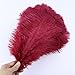 10 unids/lote de plumas de avestruz blancas naturales decoración del hogar de la boda 15-20 cm/25-30 cm/30-35 cm plumas de avestruz mesa centro de mesa artesanías, 15-20 cm