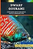 Dwarf Gourami: Care Guide (with Tank Setup, Mates & Breeding Tips)