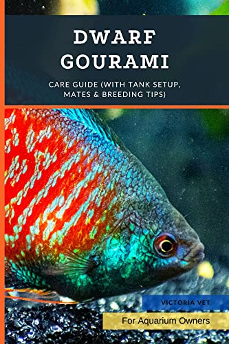 Dwarf Gourami: Care Guide (with Tank Setup, Mates & Breeding Tips)
