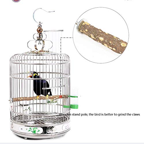 Cage oiseau avec anneau acier de suspension robuste l - 5