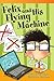 Teacher Created Materials - Literary Text: Felix and His Flying Machine - Grade 3 - Guided Reading Level N