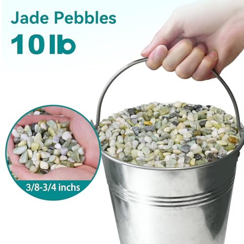 Image of 10 lbs Jade Pebbles for Indoor Plants, 3 /8 inch Plant Rocks for Pots Indoor, Decorative Small Stones for Plants, Bamboo,Vase, Succulent, Highly Polished Small River Rocks