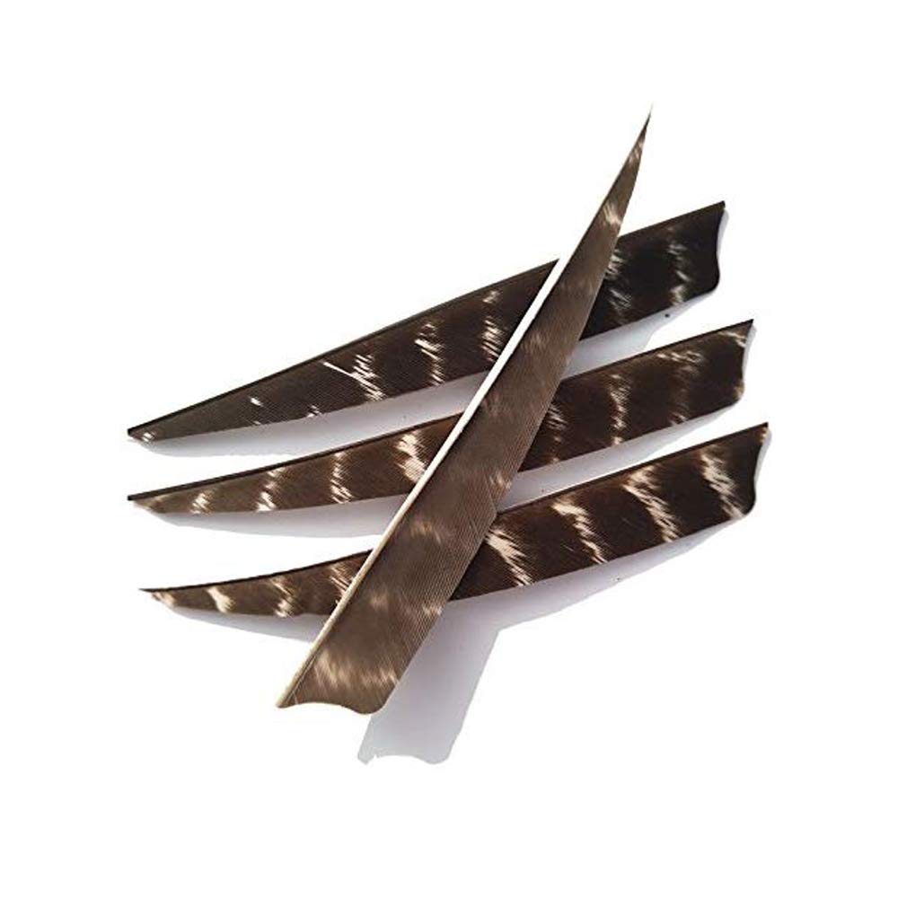 Plumes Naturelles Pour Flèches DIY Plumes De Flèche En Plume De Dinde - Lot De 50, 11 Pouces, Forme Bouclier, Blanc Aileron Flèche 11 Pouces Gauche
