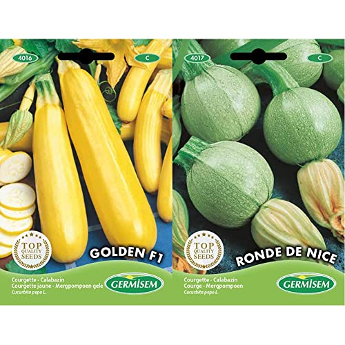 Germisem graines Courgette jaune GOLDEN F1 & graines Courgette RONDE DE NICE - 3g