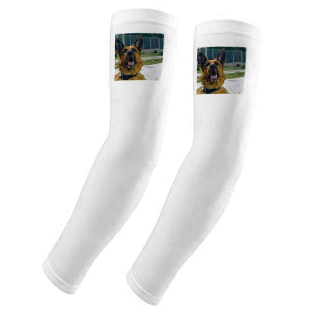 Housse de gants pour chien DIYthinker protection UV de qualité supérieure - 5