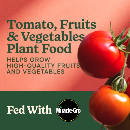 Image of Miracle-Gro Shake 'N Feed Tomato, Fruit & Vegetable Plant Food, 4.5 lb.