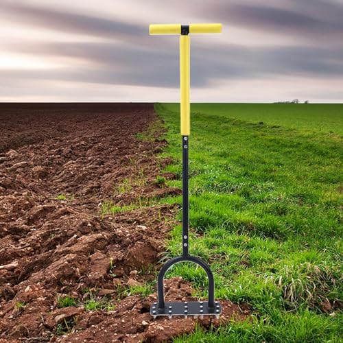 Aérateur de gazon pour pelouse compacte pour éliminer la mousse de jardin - 4
