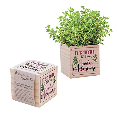 Cheersville! Plant Cube Includes Thyme Seed...