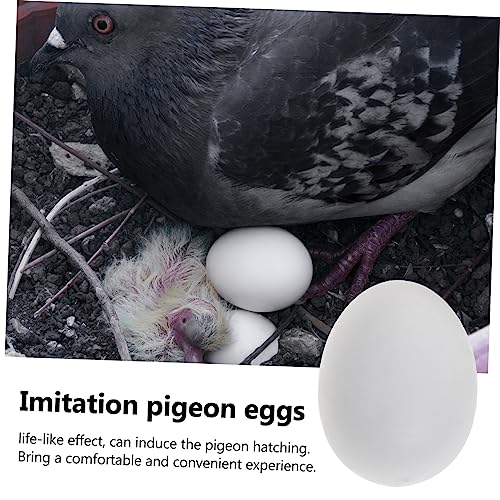 HONMEET 20 Pçs De Pombo Ovos De Pombo Falsos De Plástico Porta-Ovos De Pombos De Corrida De Pombos O
