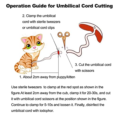 Weegeeks Whelping Kit,Whelping Kit For Puppies Birth With 12Pcs Whelping Collars,Puppy Feeding Tube Etc,Newborn Puppy Whelping Supplies #TOP6