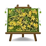 EURO PLANTS VIVAI