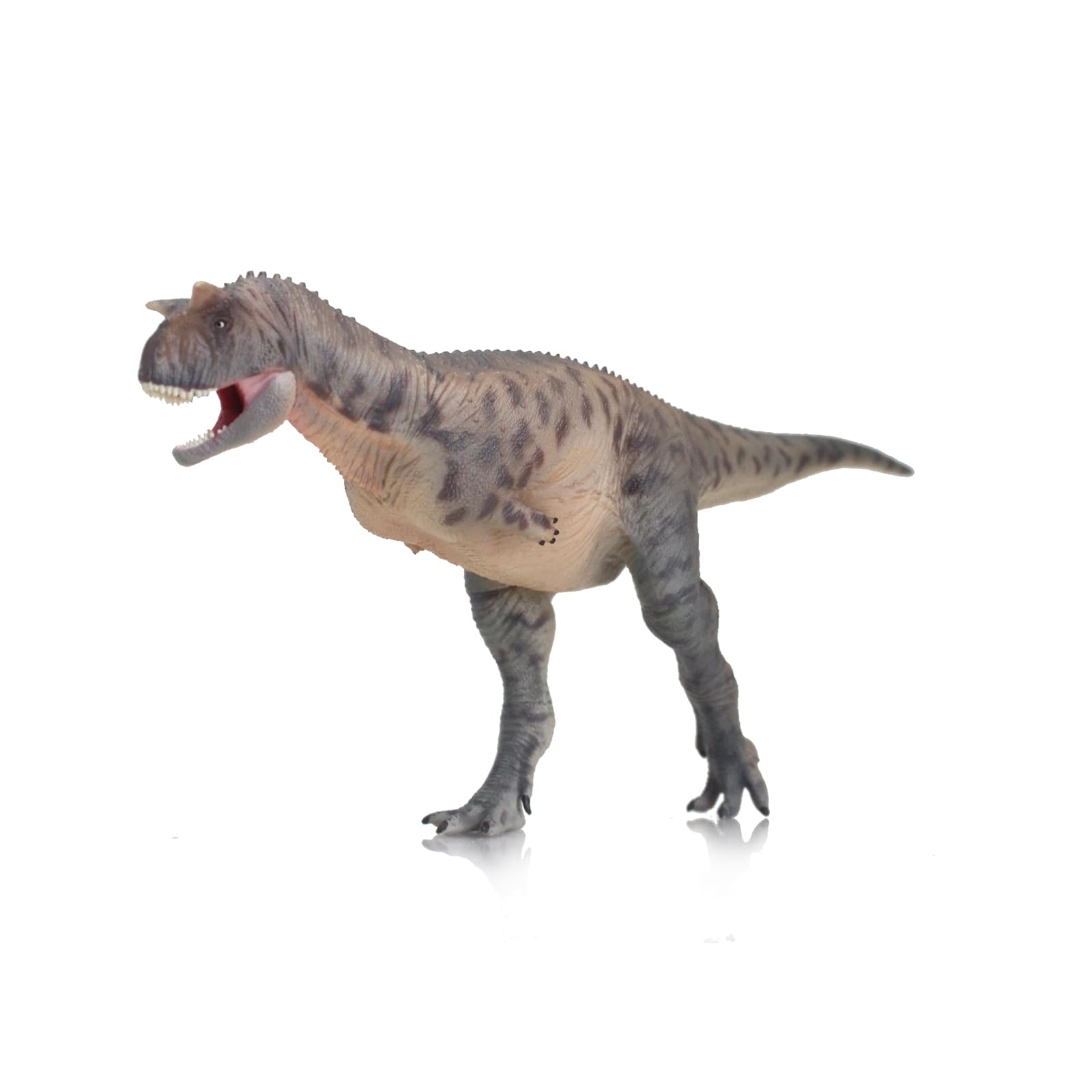 AMITD Carnotaurus (Zhoutong)