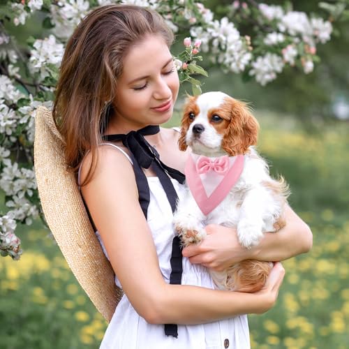 Hundesmoking, Hundehochzeit Bandana Kragen mit Fliege Hundekostüme kleine Hunde Hundesmoking für kleine Hunde Hundeanzug Kostüm für Hunde Hochzeit, Verlobung, und Geburtstag (Hals:20-30cm/Pink)