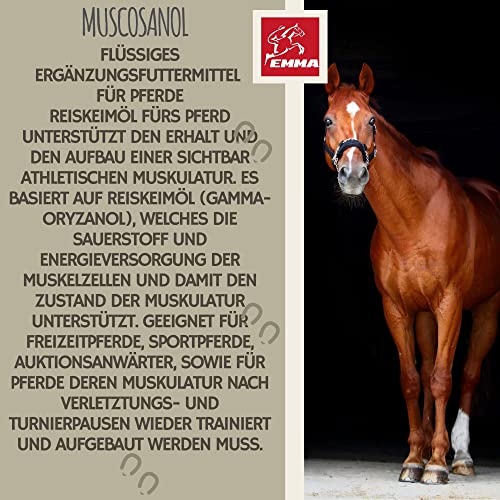 Muscosanol Reiskeimöl Pferd & Leinöl Pferde 1L mit Vitamin E Muskelaufbau Pferd I Leinsamenöl kaltgepresst I Aufbaukur Omega 3 Leinöl zur Unterstützung für Muskulatur & Leistung & Energie Pferde